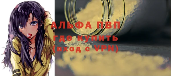 эйфоретик Арсеньев