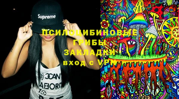 эйфоретик Арсеньев