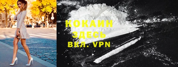 эйфоретик Арсеньев