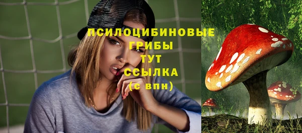 эйфоретик Арсеньев